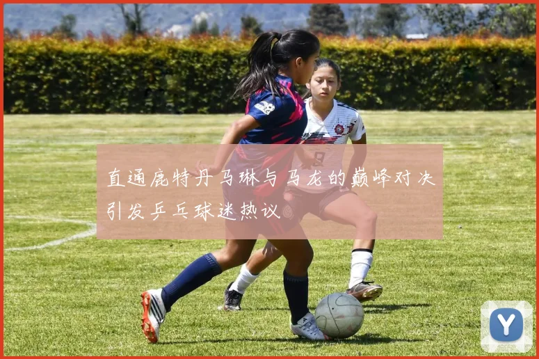 直通鹿特丹马琳与马龙的巅峰对决引发乒乓球迷热议
