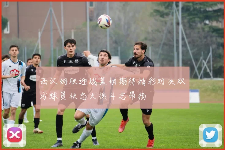 西汉姆联迎战莱切期待精彩对决双方球员状态火热斗志昂扬